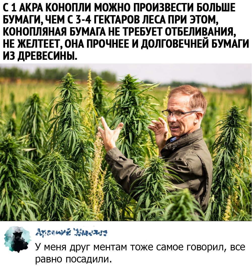 С 1 АКРА КОНОПЛИ МОЖНО ПРОИЗВЕСГ И БОЛЬШЕ БУМАГИ ЧЕМ С 3 4 ГЕКТАРОВ ЛЕСА ПРИ ЭТОМ КОНОПЛЯНАЯ БУМАГА НЕ ТРЕБУЕТ ОТБЕЛИВАНИЯ НЕ ЖЕЛТЕЕТ ОНА ПРОЧНЕЕ И ДОЛГОВЕЧНЕЙ БУМАГИ ИЗ ДРЕВЕСИНЫ 13534 Ждет У меня дРуг ментам тоже самое говорил все равно посадили