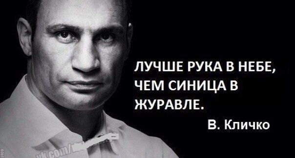ЛУЧШЕ РУКА В НЕБЕ ЧЕМ СИНИЦА В ЖУРАВЛЕ В Кличко