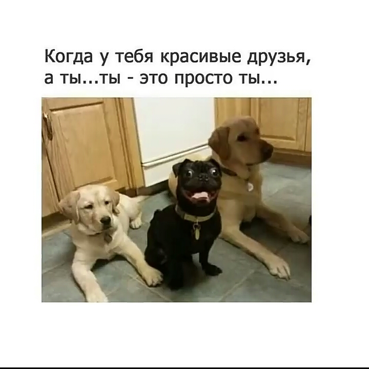 Когда у тебя красивые друзья а тыты это просто ты