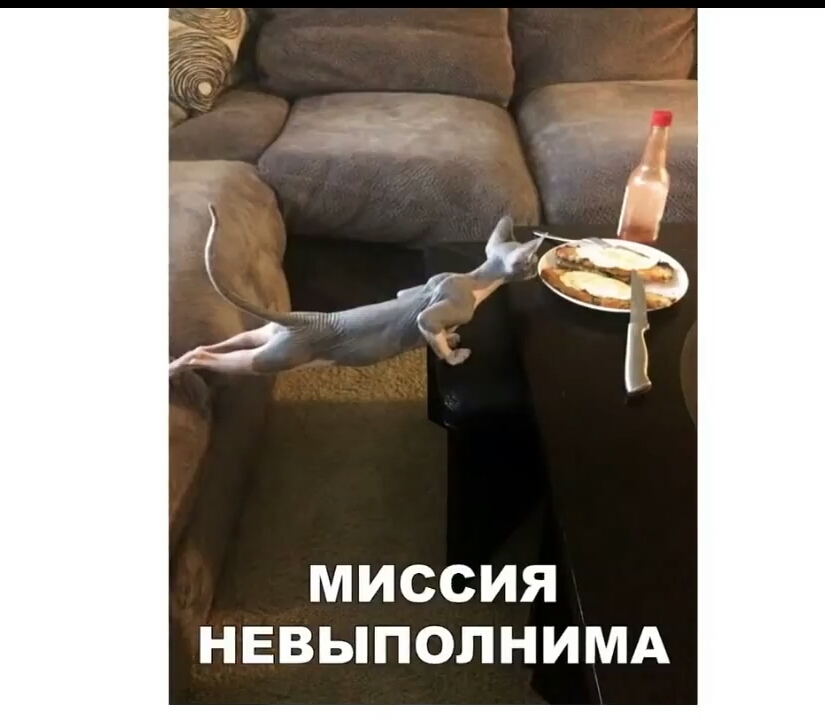 МИССИЯ НЕВЫПОЛНИМА