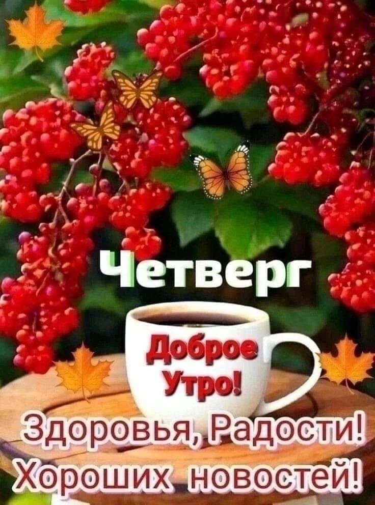 ж 7 м Г 7 а 5 ет еа и Е ае а3 я с Хорошихновостей