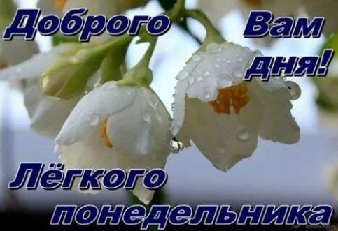 Доброле Вам дня 6с ъ Лёгкого понедетленика