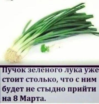 учок зеленого лука уже стоит столько что с ним будет не стыдно прийти на 8 Марта