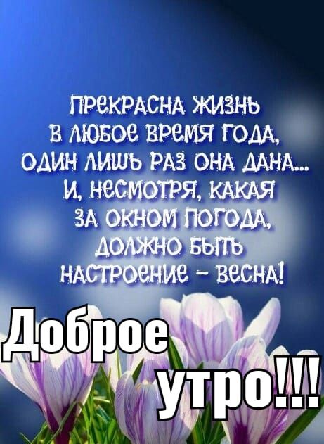 ПРЕКРАСНА ЖИЗНЬ
В ЛЮБОЕ ВРЕМЯ ГОДА,
ОДИН ЛИШЬ РАЗ ОНА ДАНА...
И, НЕСМОТРЯ, КАКАЯ
ЗА ОКНОМ ПОГОДА,
ДОЛЖНО БЫТЬ
НАСТРОЕНИЕ - ВЕСНА!
ДОБРОЕ УТРО!!!