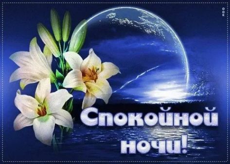 Спокойной ночи!