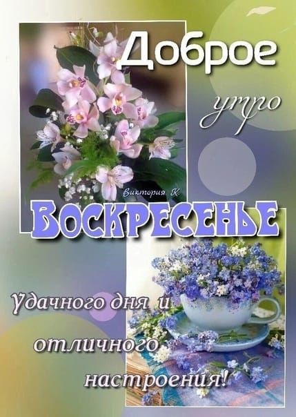 Доброе утро ВОСКРЕСЕНЬЕ Удачного дня и отличного настроения!