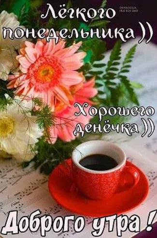 Лёгкого понедельника )) Хорошего денёчка )) Доброе утро !