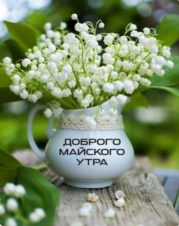 Доброго майского утра