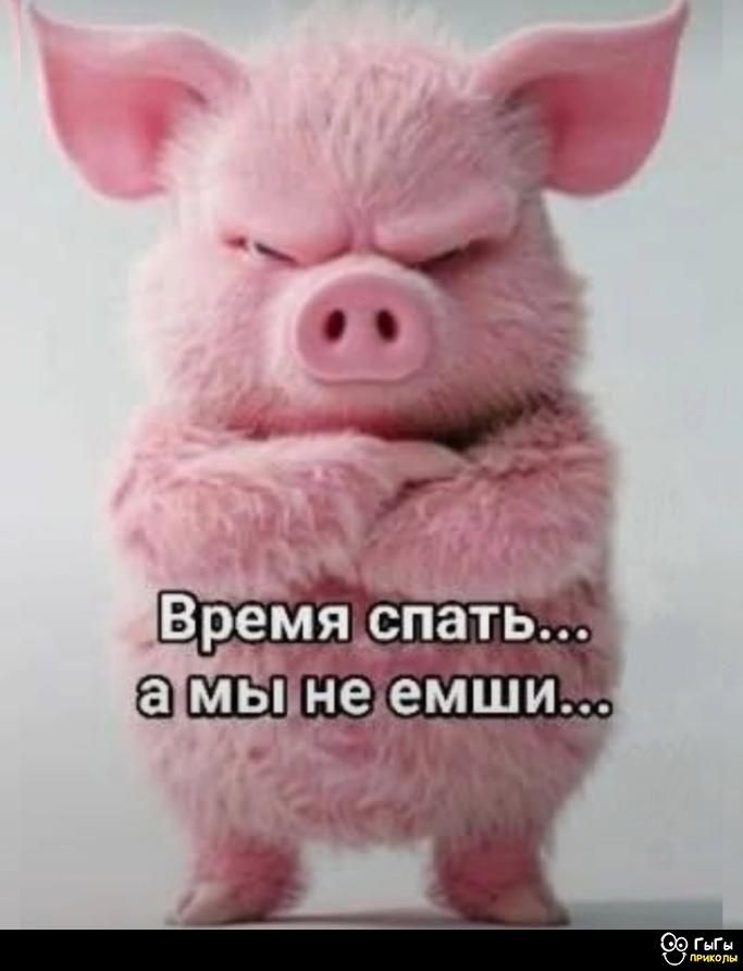 Время спать... а мы не емщи...