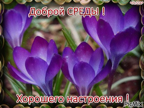 Доброй СРЕДЫ ! Хорошего настроения !