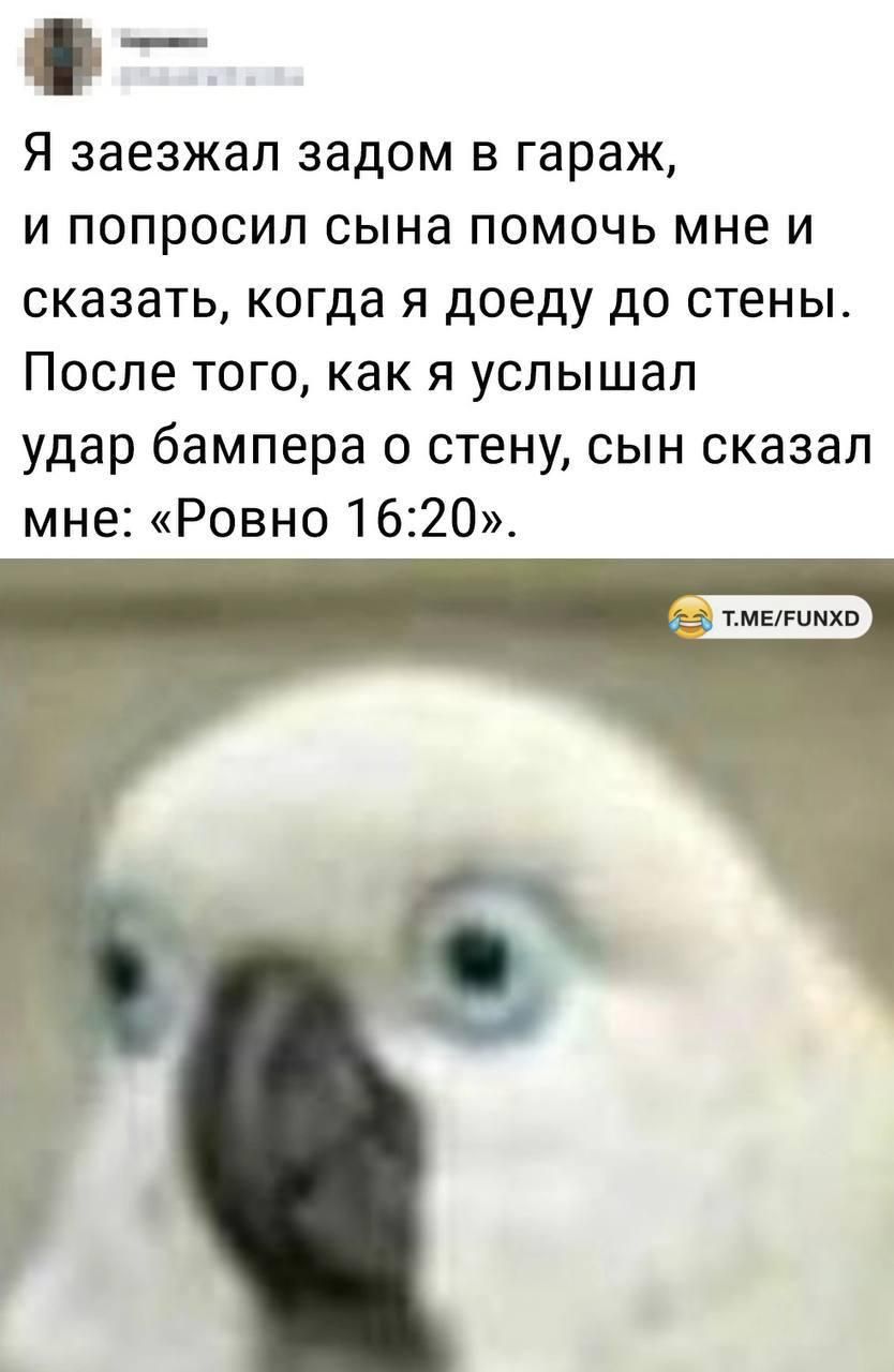Я заехал задом в гараж, и попросил сына помочь мне и сказать, когда я доеду до стены. После того, как я услышал удар бампера о стену, сын сказал мне: «Ровно 16:20».