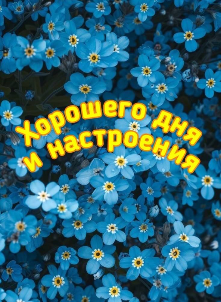Хорошего дня и настроения