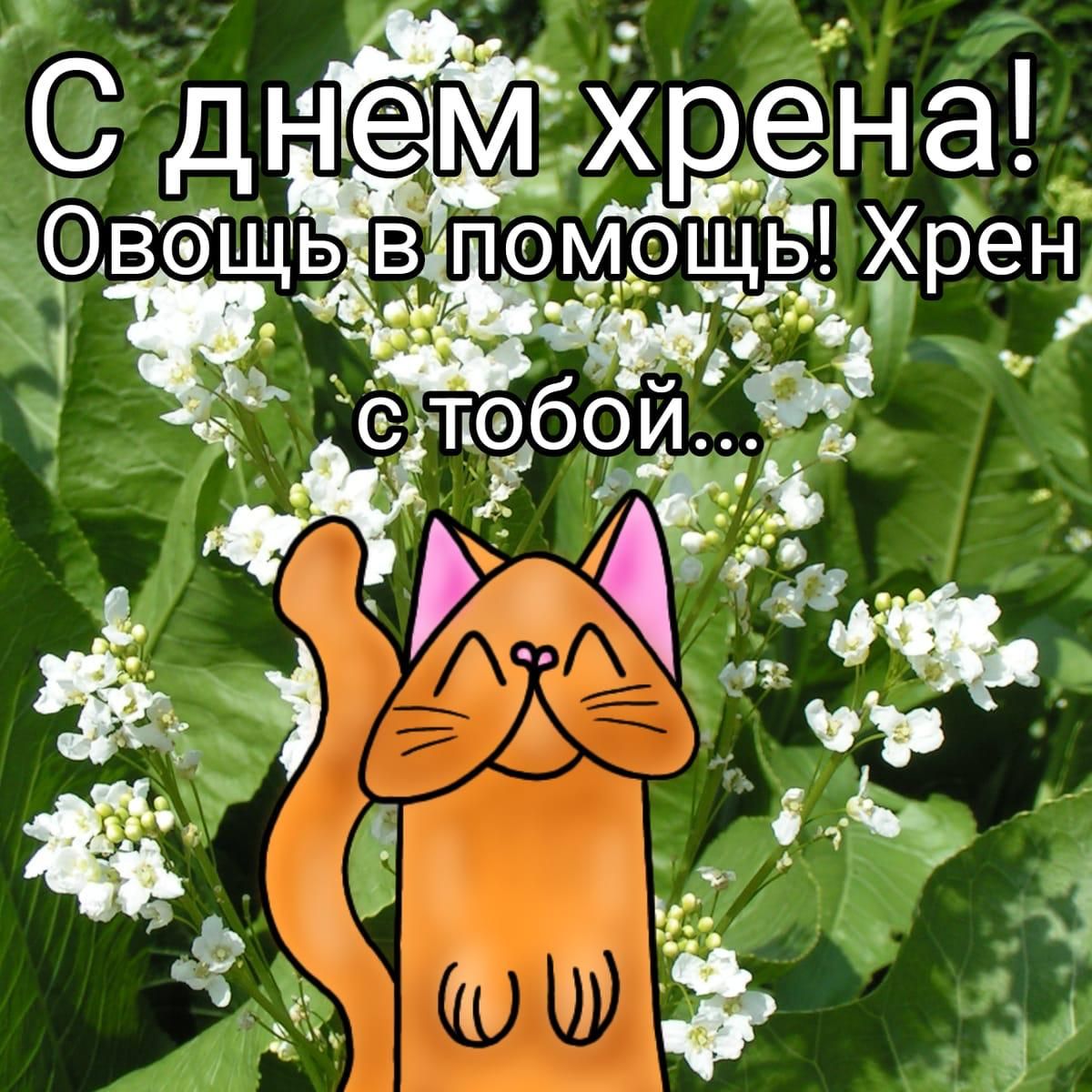 С днем хрена! Овощь в помощь! Хрен с тобой...
