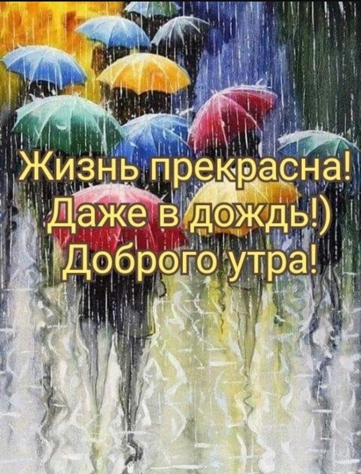 Жизнь прекрасна! Даже в дождь!) Доброго утра!