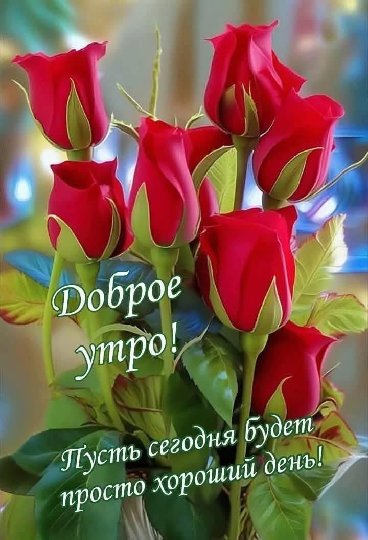 Доброе утро! Пусть сегодня будет просто хороший день!