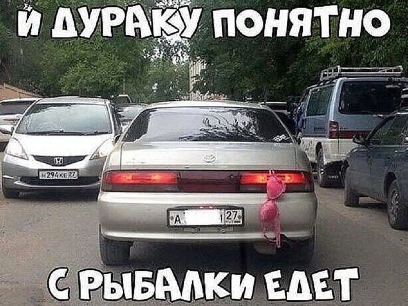И дураку понятно с рыбалки едет