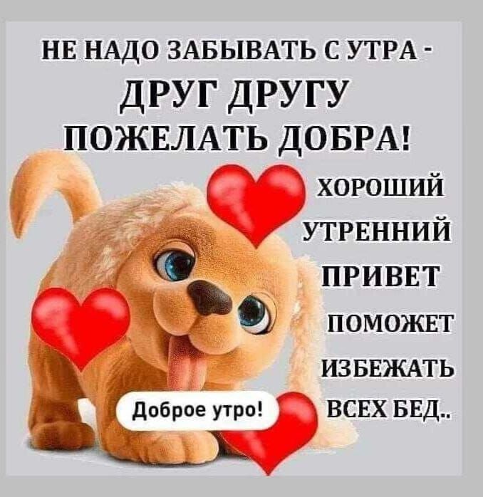 НЕ НАДО ЗАБЫВАТЬ С УТРА - ДРУГ ДРУГУ ПОЖЕЛАТЬ ДОБРА! ХОРОШИЙ УТРЕННИЙ ПРИВЕТ ПОМОЖЕТ ИЗБЕЖАТЬ ВСЕХ БЕД.. Доброе утро!