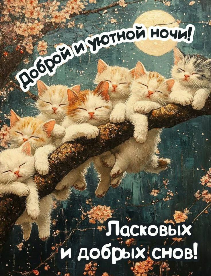 Доброй и уютной ночи! Ласковых и добрых снов!