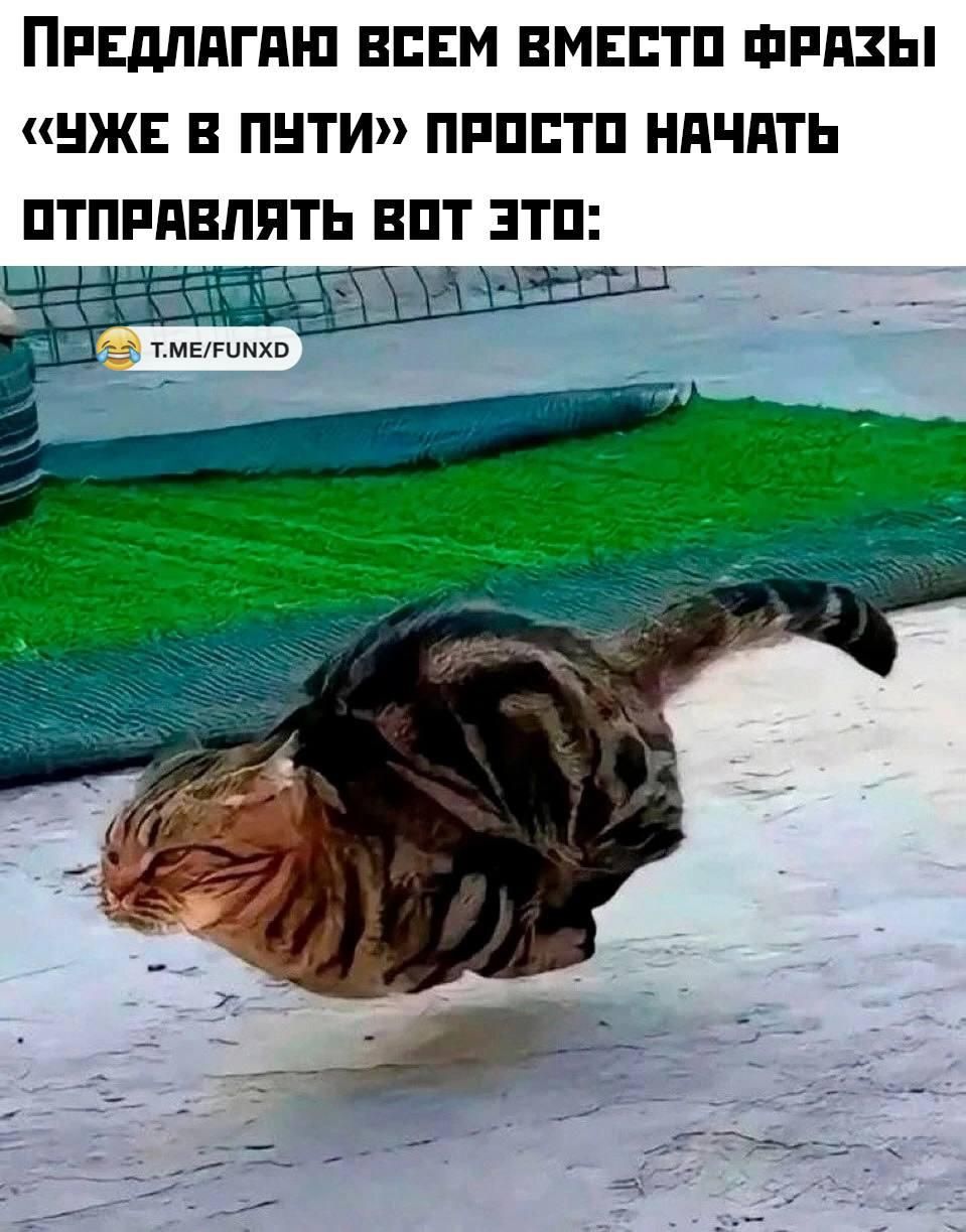 Предлагаю всем вместо фразы «уже в пути» просто начать отправлять вот это: