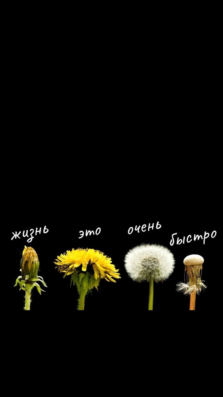 жизнь это очень быстро