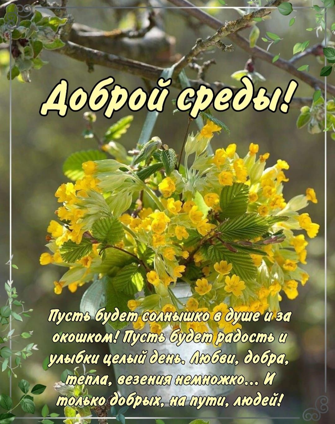 Доброй среды!
Пусть будет солнышко в душе и за окошком! Пусть будет радость и улыбки целый день. Любви, добра, тепла, везения немножко... И только добрых на пути, людей!