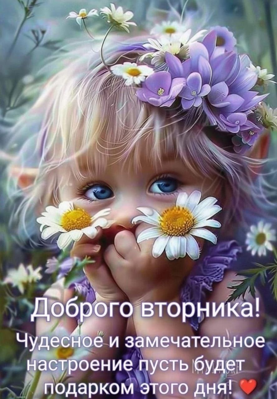 Доброе вторника! Чудесное и замечательное настроение пусть будет подарком этого дня! ❤️