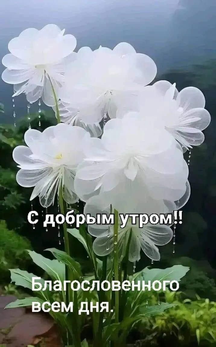 С добрым утром!! Благословенного всем дня.