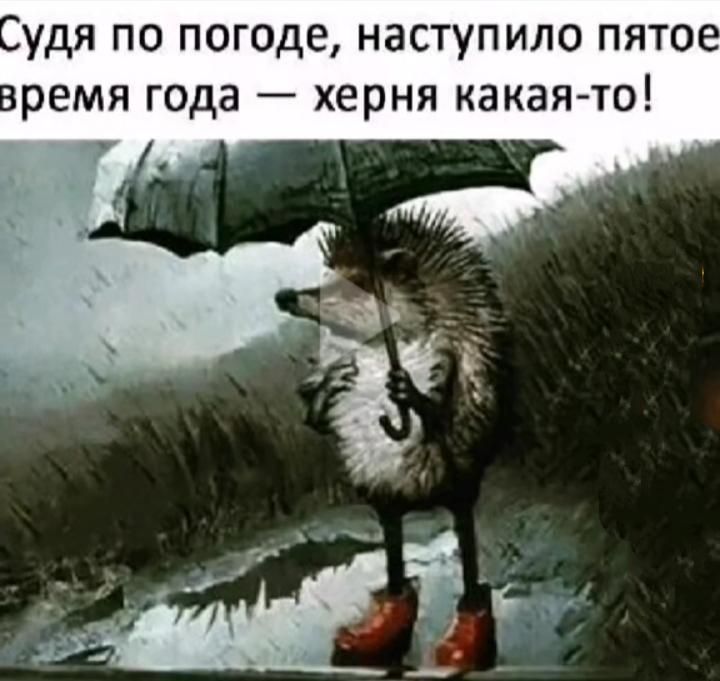 Судя по погоде, наступило пятое время года — херня какая-то!