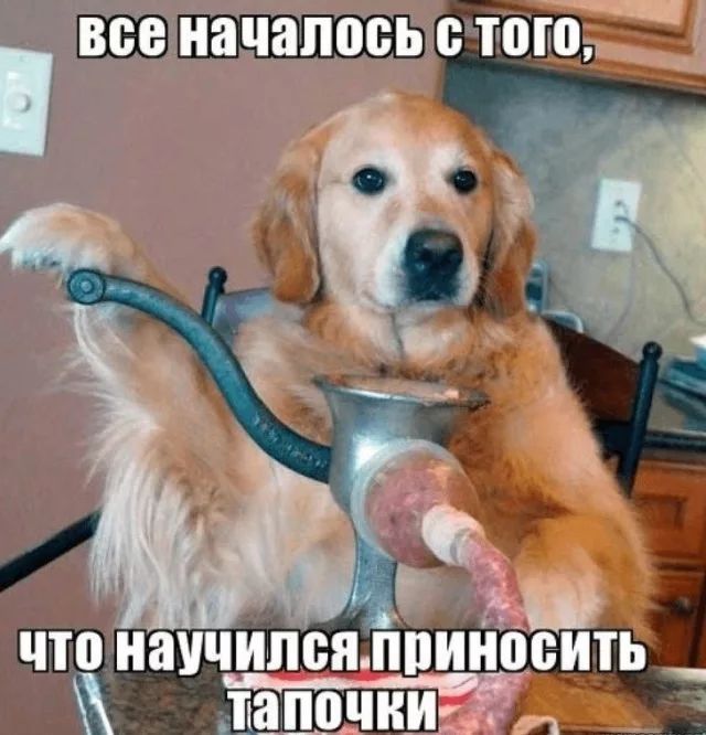 ВШЭ_