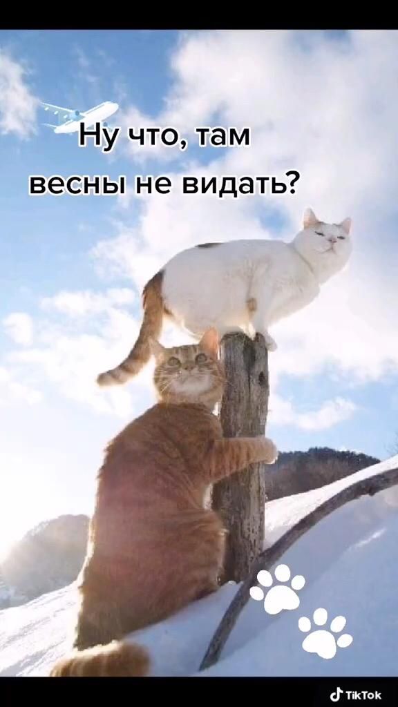 Ну что там весны не видать