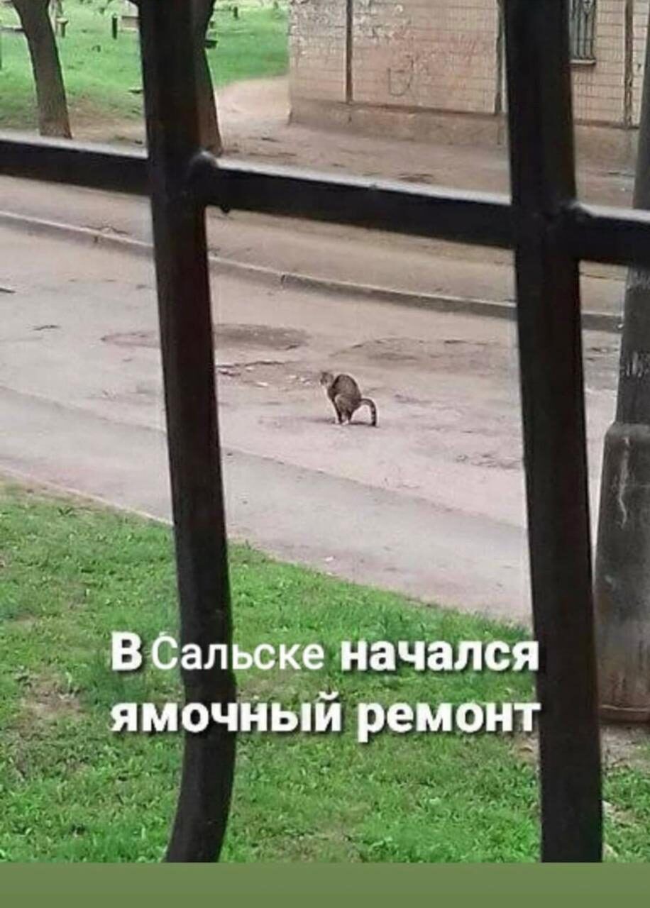 _шлзі ЬШцмм _ __