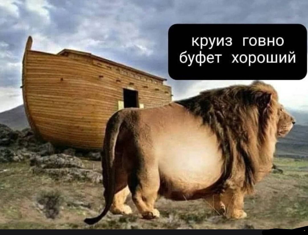 круиз говно буфет хороший