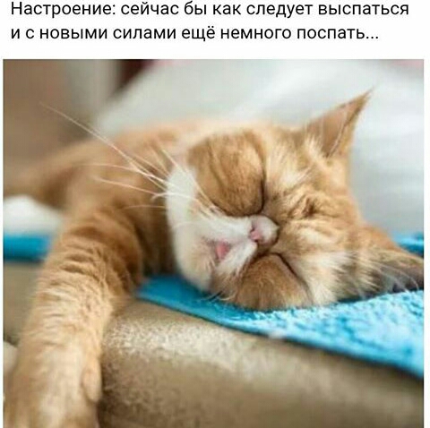 Настроение сейчас бы как следует выспаться И с новыми силами ещё немного поспать