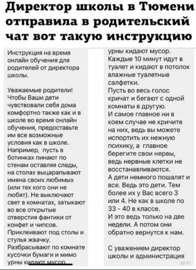 Директор школы в Тюмени отправила в родительский чат вот такую инструкцию Инструкция на время онлайн обучения для родителей от директора школы Уважаемые родители Чтобы Ваши дети чувствовали себя дома комфортно также каки в школе во время онлайн обучения предоставьте им все возможные условия как в школе Например пусть в ботинках пинают по стенам оставляя следы на столах выцарапывают имена своих люб