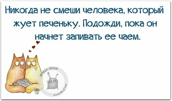 Никогда не смеши человека который жует пеценьку Подожди пока он ъіацнет запивать ее чаем