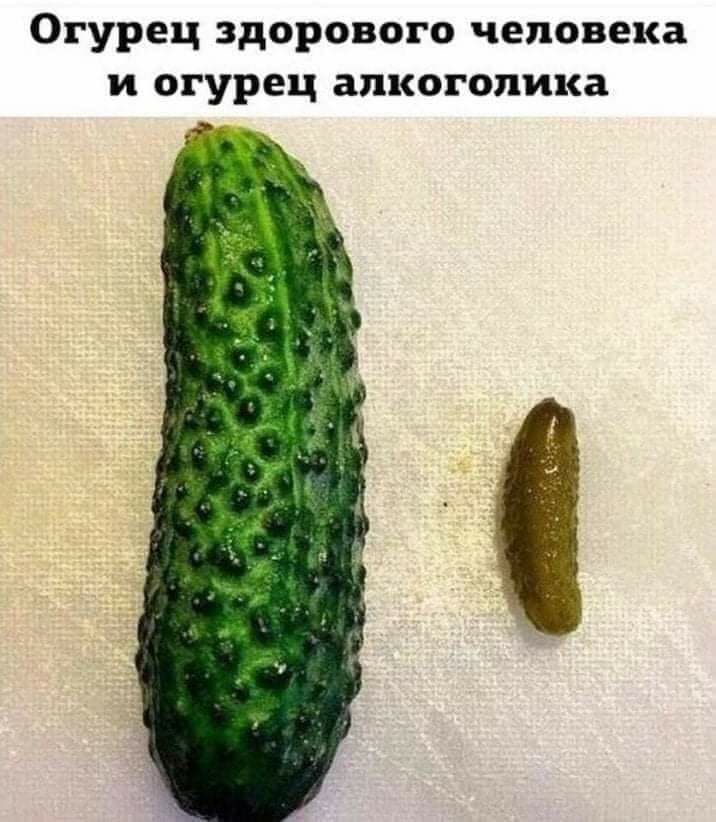 Огурец здорового человека и огурец алкоголика