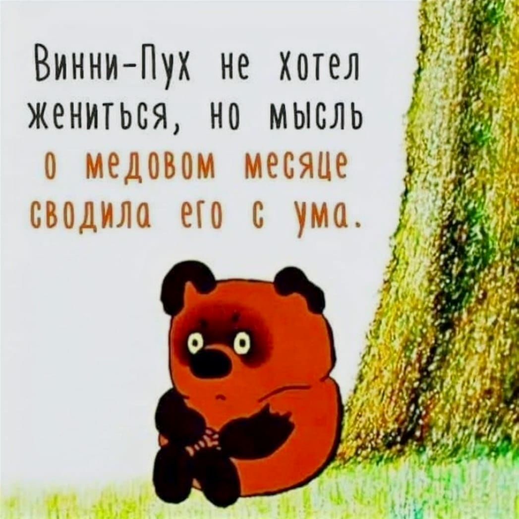 з Винни Пух не хотел жениться но мысль