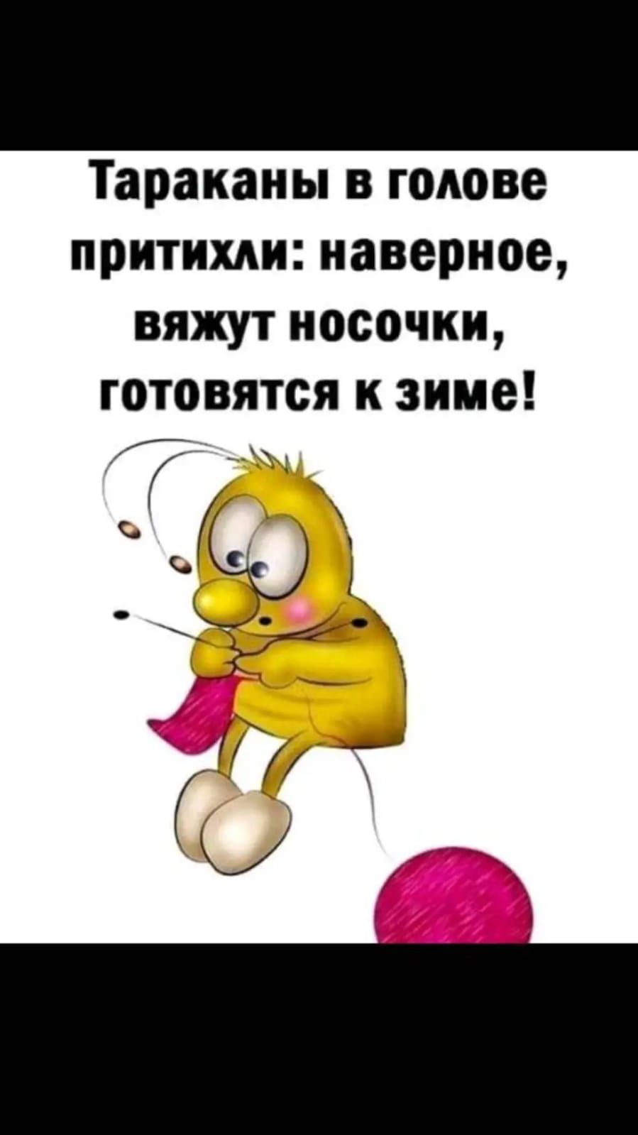 Тараканы в голове притихли наверное вяжут носочки готовятся к зиме