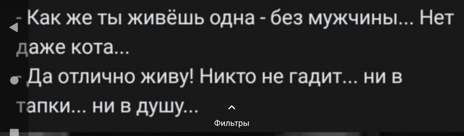 Как же ты живёшь одна без мужчины Нет даже кота Да отлично живу Никто не гадит ни в тапки ни в душу Фильтры