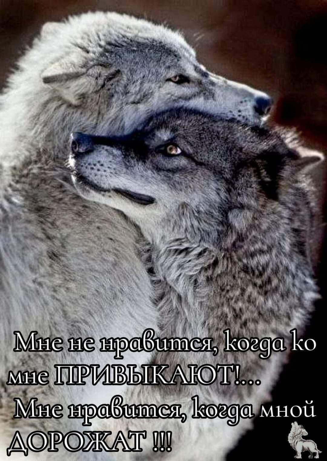 ПіРИБЫКАі Т я129а мной АР ТПШ