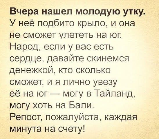Вчера нашел молодую утку У неё подбито крыло и она не сможет улететь на юг Народ если у вас есть сердце давайте скинемся денежкой кто сколько сможет и я лично увезу её на юг могу в Тайланд могу хоть на Бали Репост пожалуйста каждая минута на счету