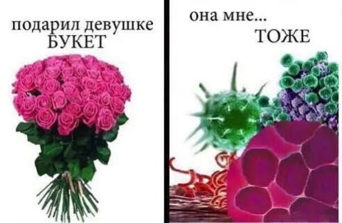 она мне ТОЖЕ подарил девушке БУКЕТ