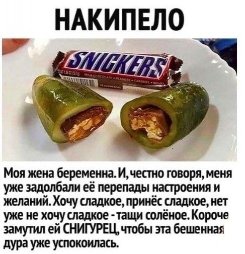 НАКИПЕЛО Моя жена беременнаичестио говоря меня уже задолбали её перепады настроения и желаний Хочу ишдкое принёс сладкое нет уже не хочу сладкое тащи солёное Короче замутил ей СНИГУРЕЦ чтобы эта бешенная дура уже успокоилась