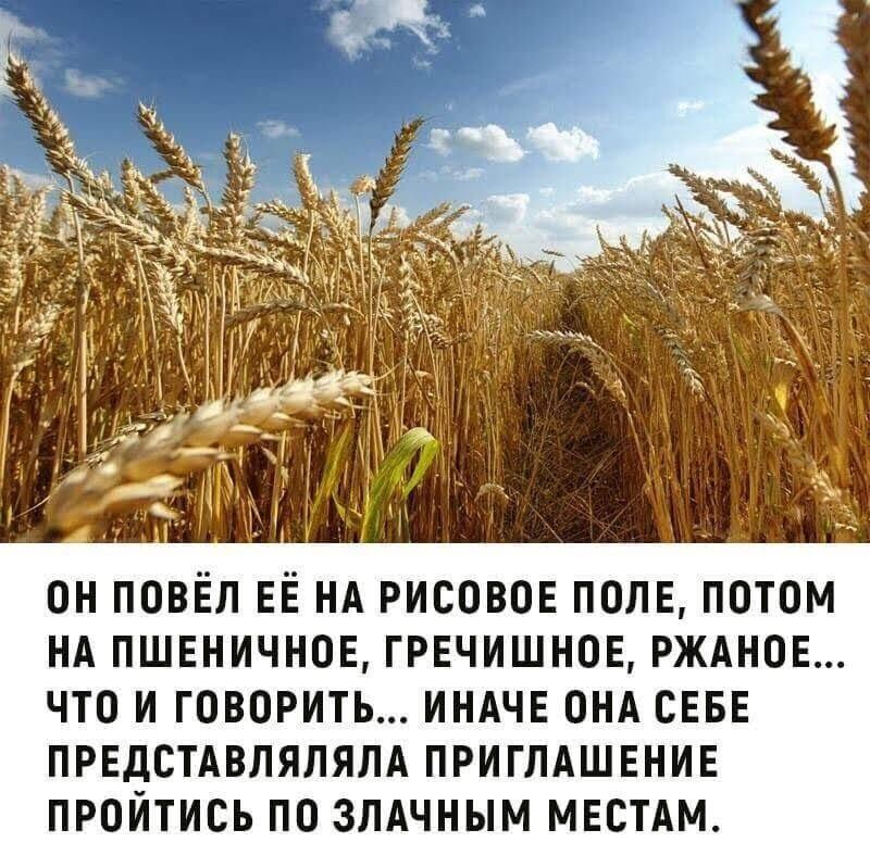 он повёл ЕЁ нд рисовое полн потом нд пшвничнов гречишнов ржднов что и говорить индчв онд СЕБЕ ПРЕДСТАВЛЯЛЯЛА ПРИГЛАШЕНИЕ ПРОЙТИСЬ ПО ЗЛАЧНЫМ МЕСТАМ