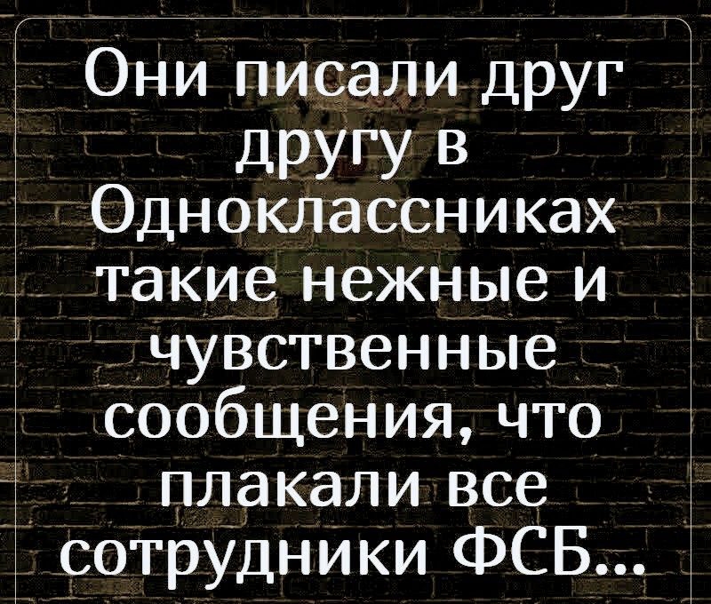 они писали друг дРУГУ В Одноклассниках такие нежные и чувственнЫе Сообщения что плакали все _ сотрудники ФСБ