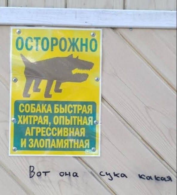 совАкА БЫСТРАЯ ХИТРАЯ опьпндя АГРЕССИВНАЯ _излопАмятАя__ т в то