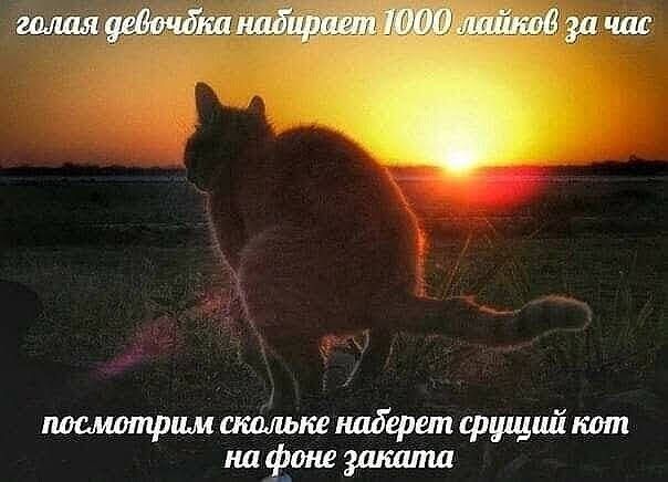 посмотрим спашт наберет едущий тт