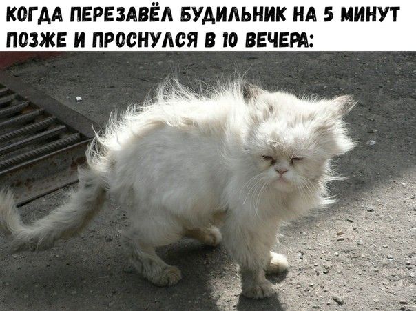 КОГ АА ПЕРЕЗАВЁА БУАИАЬНИК НА 5 МИНУТ ПОЗЖЕ И ПРОСНУАСЯ В О ВЕЧЕРА