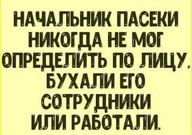 НАЧАЛЬНИК ПАСЕКИ НИКОГДА НЕ МОГ ОПРЕДЕЛИТЬ ПО ЛИЦУ БУХАЛИ ЕЮ СОТРУДНИКИ ИЛИ РАБОТАЛИ