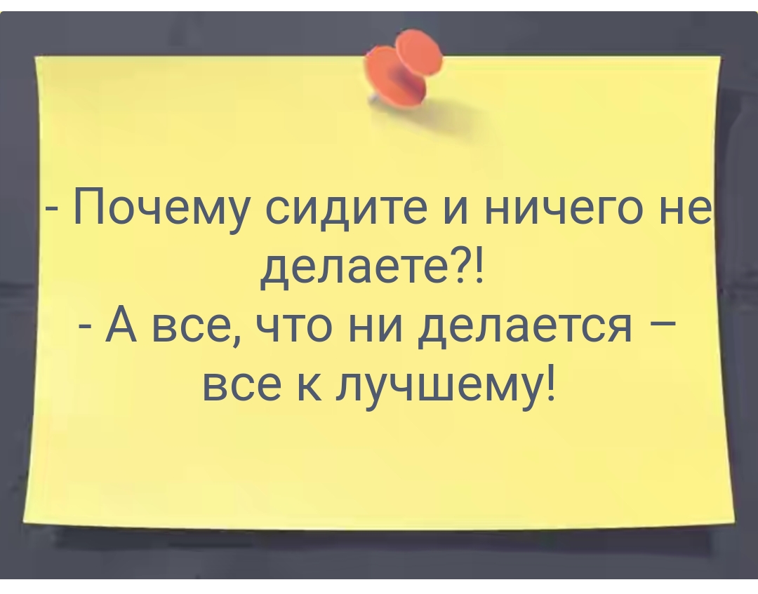 Почему сидите и ничего не делаете А все что ни делается все к лучшему